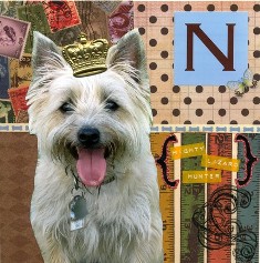 pet-collage