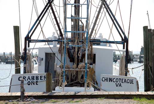 chincoteague_2
