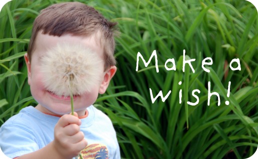 macrosunday_makeawish4 macrosunday_makeawish4