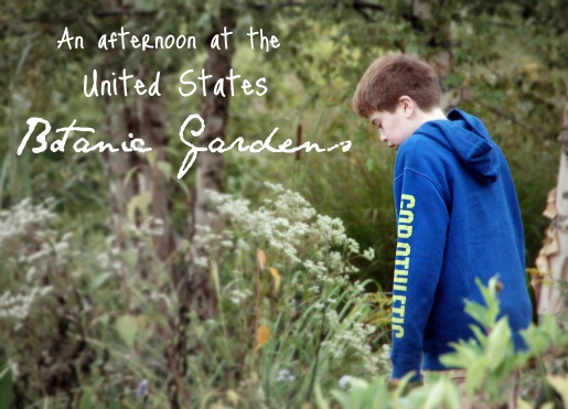 Botanic Gardens_Gabriel with text