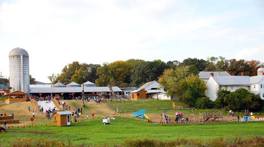 PumpkinPatch_Horizontal-View