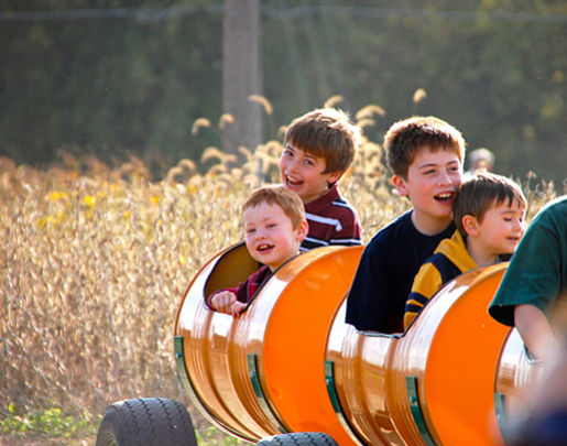 PumpkinPlayground---train-ride_opt