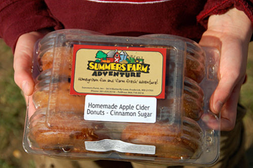 PumpkinPlayground_Doughnuts_opt