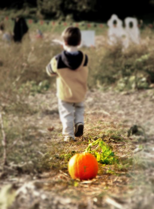 PumpkinPlayground_Pumpkin in focus_opt