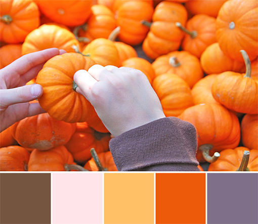 pumpkin palette 1 copy_opt