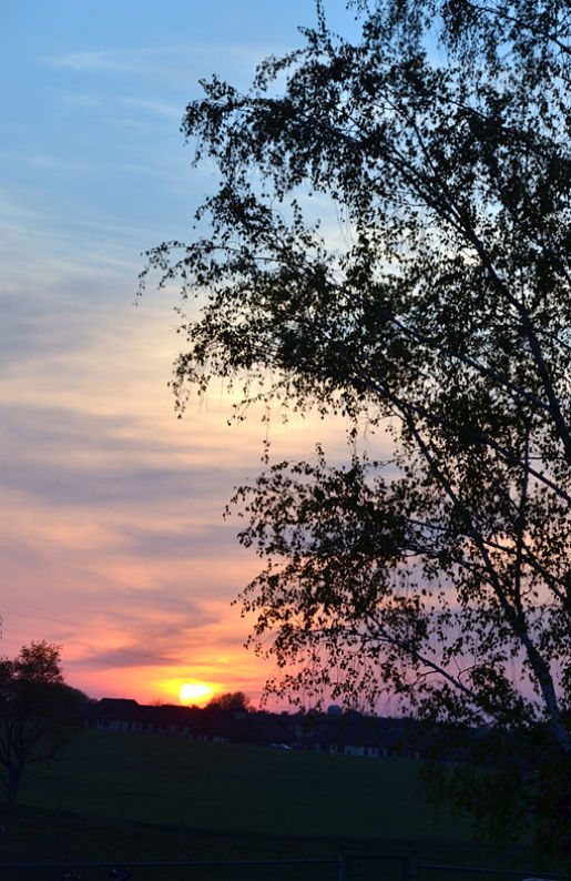 Oregon Dairy Sunset