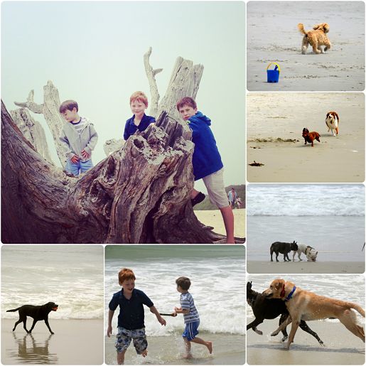 Carmel Beach