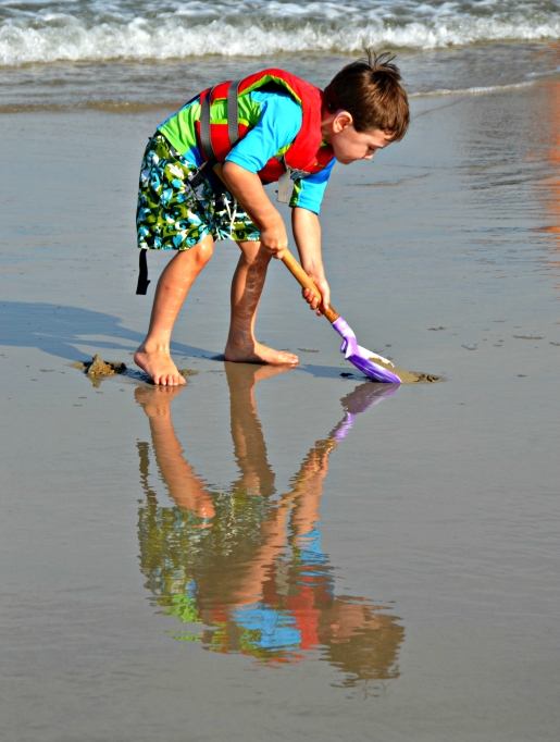 Assateague Island