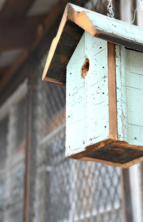 Blue birdhouse