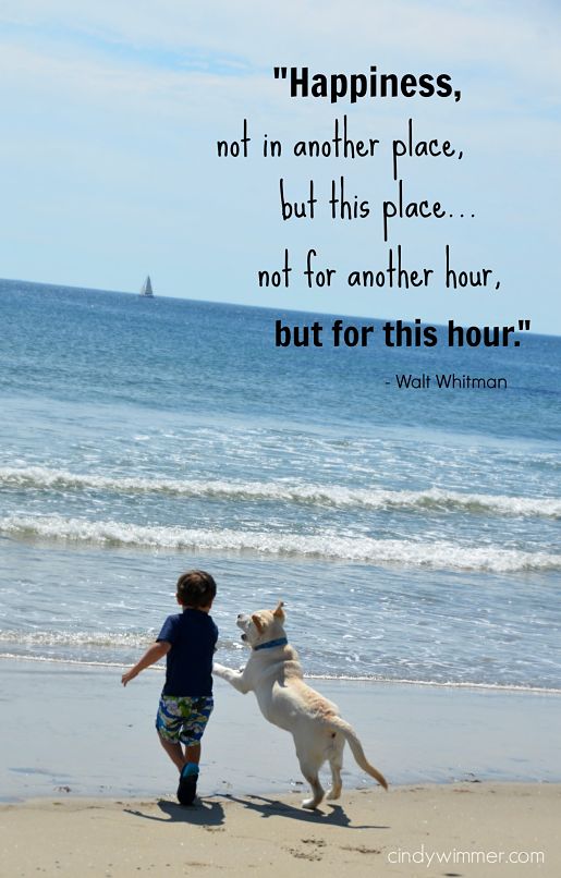Happiness quote