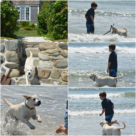Playing with the puppy on Parsons Beach, Maine