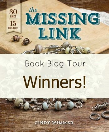 Missing Link blog book tour winners
